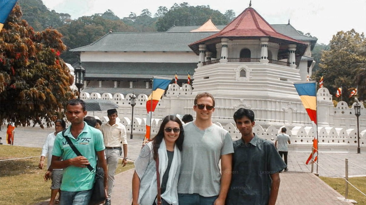 Kleuren van Sri Lanka (20 dagen)