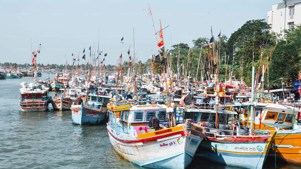 Geweldig Sri Lanka (25 dagen)