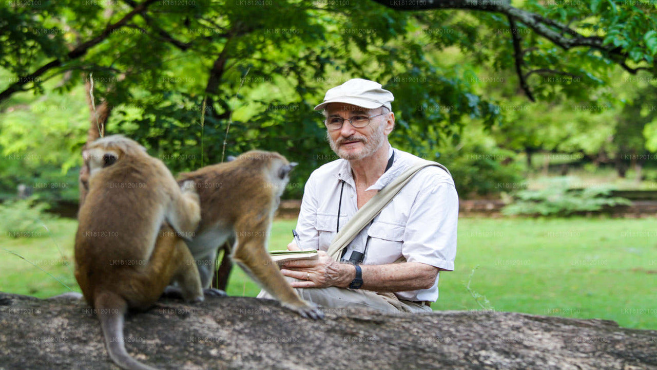 Ontdek het Monkey Kingdom vanuit Polonnaruwa