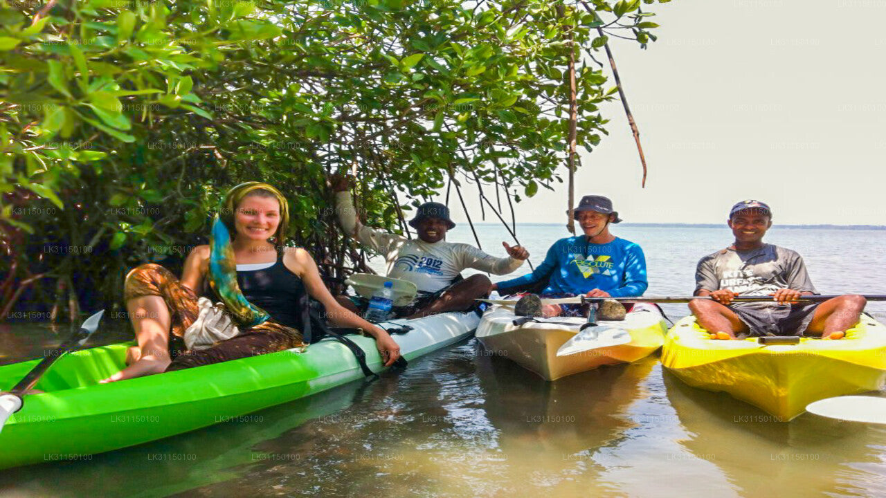 Kayaking from Kalpitiya Lagoon