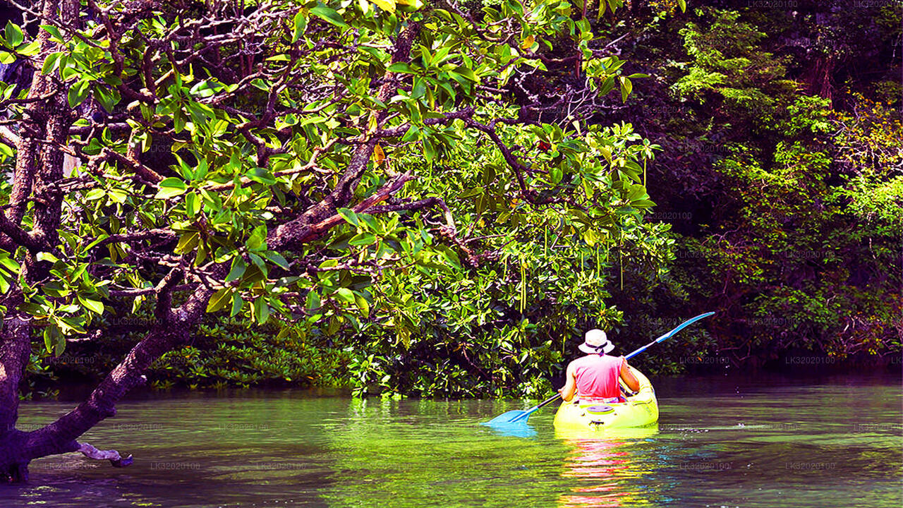 Kanoën op de Mahaweli-rivier vanuit Kandy