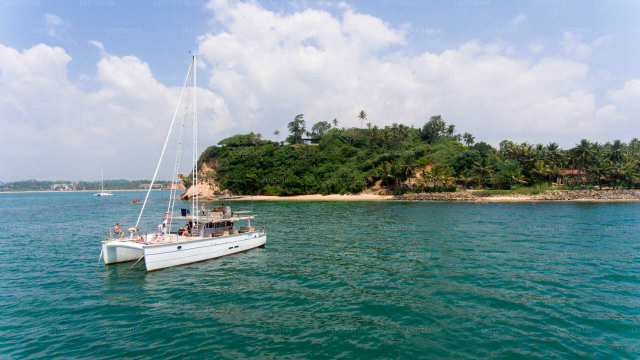 Whale Watching Boat Tour from Trincomalee