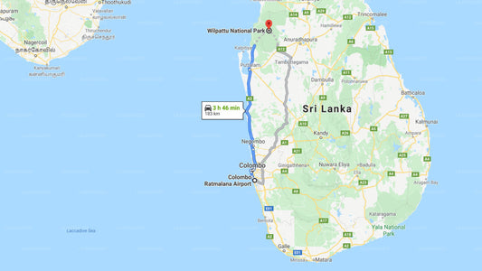 Ratmalana Airport (RML) to Wilpattu City Private Transfer