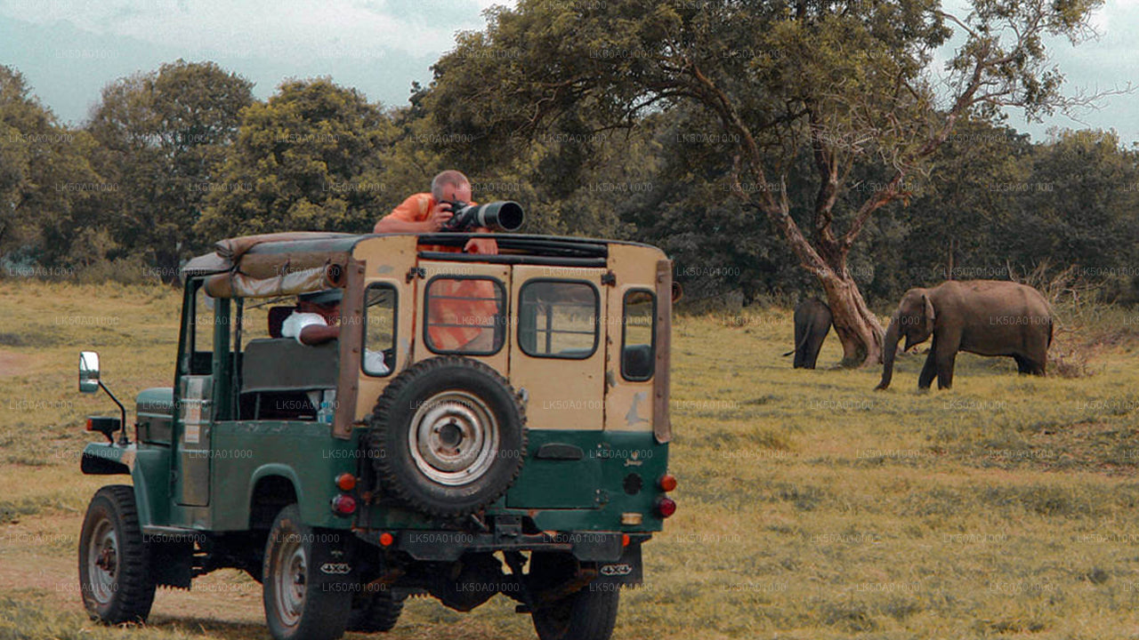 Privésafari in het nationale park Udawalawe