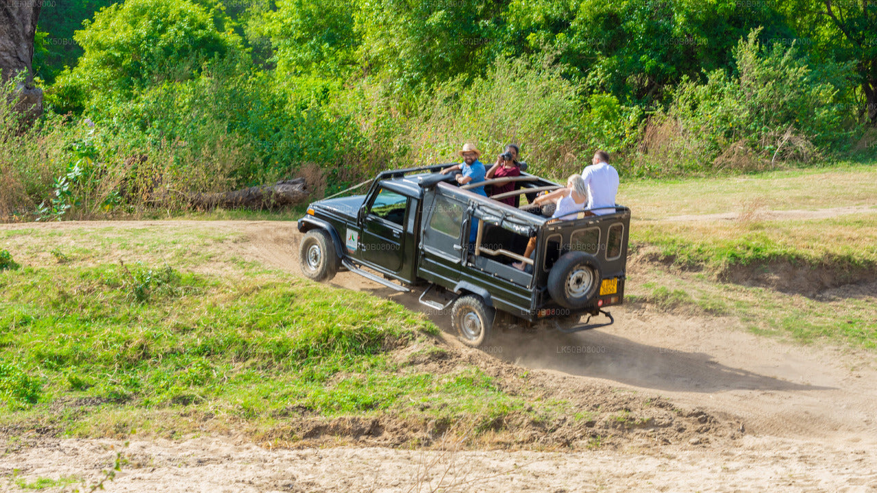 Privésafari The Great Elephant Gathering vanuit Minneriya