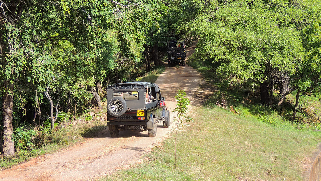 Privésafari in het nationale park Kaudulla