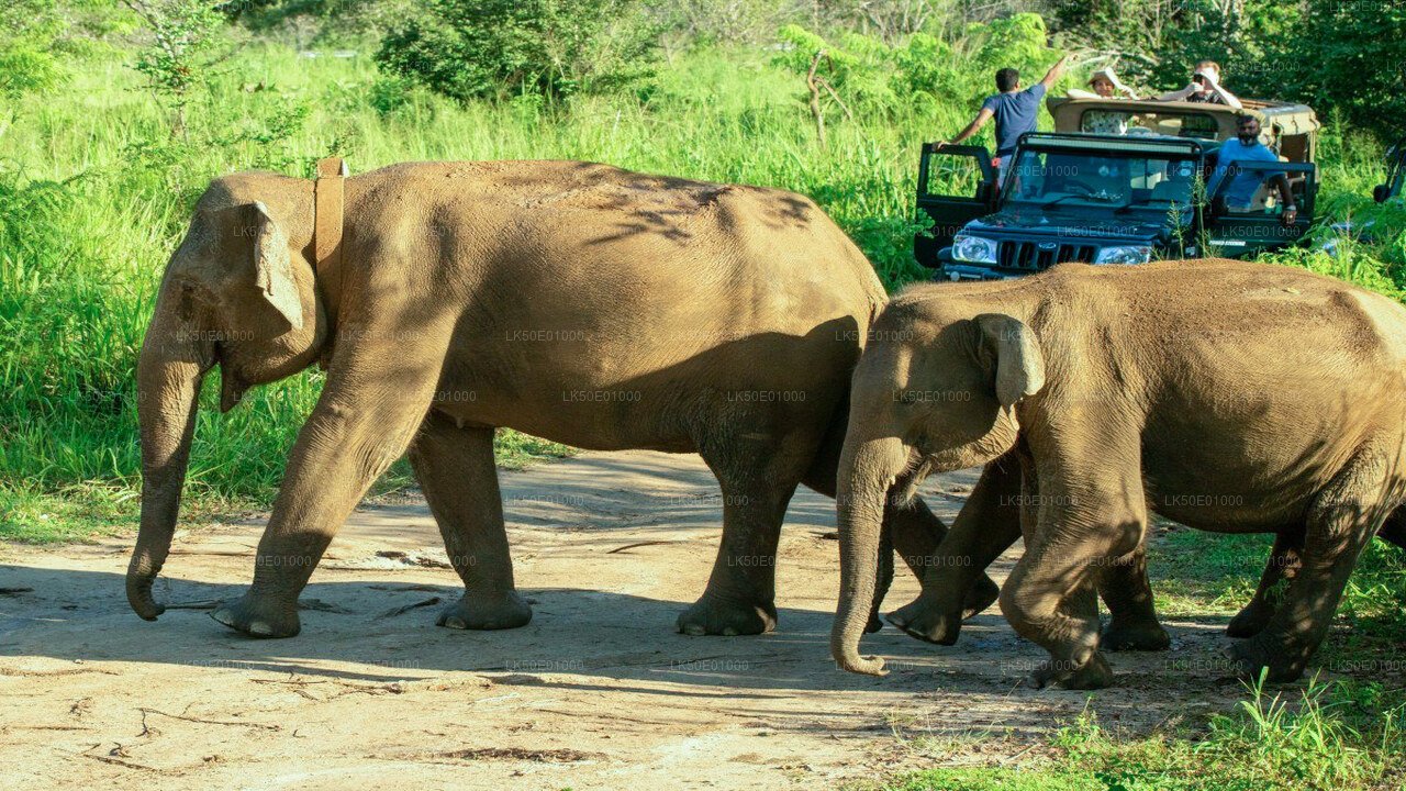 Hurulu Eco Park Private Safari with Naturalist