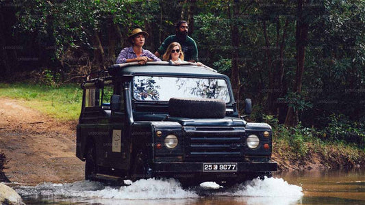 Privésafari in Udawalawe National Park met natuuronderzoeker