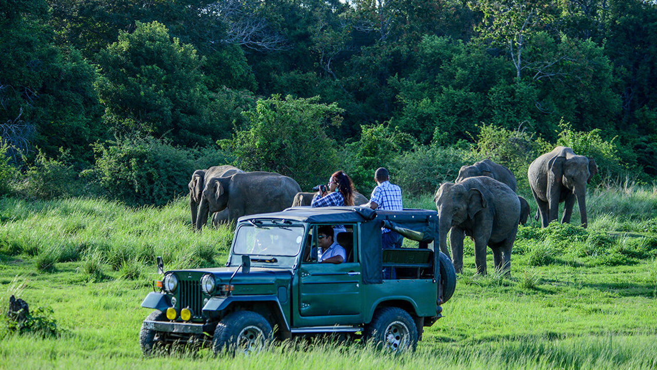 Privésafari in het nationale park Bundala