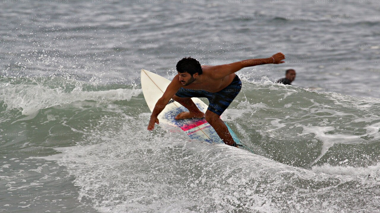 Surfing from Ahangama