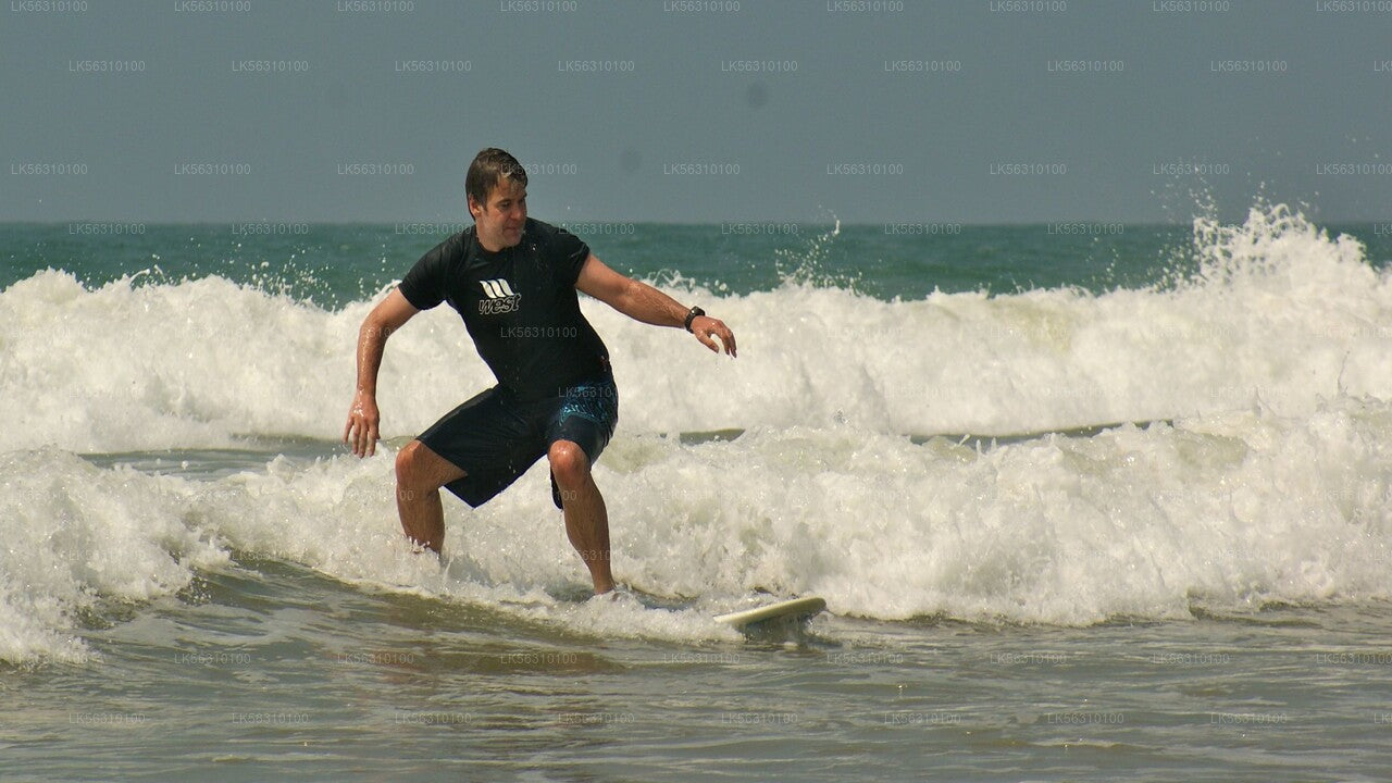 Surfing from Ahangama