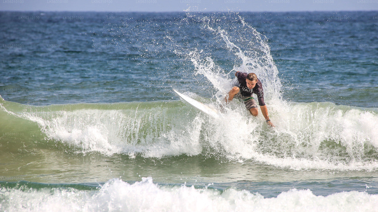 Surfing from Ahangama