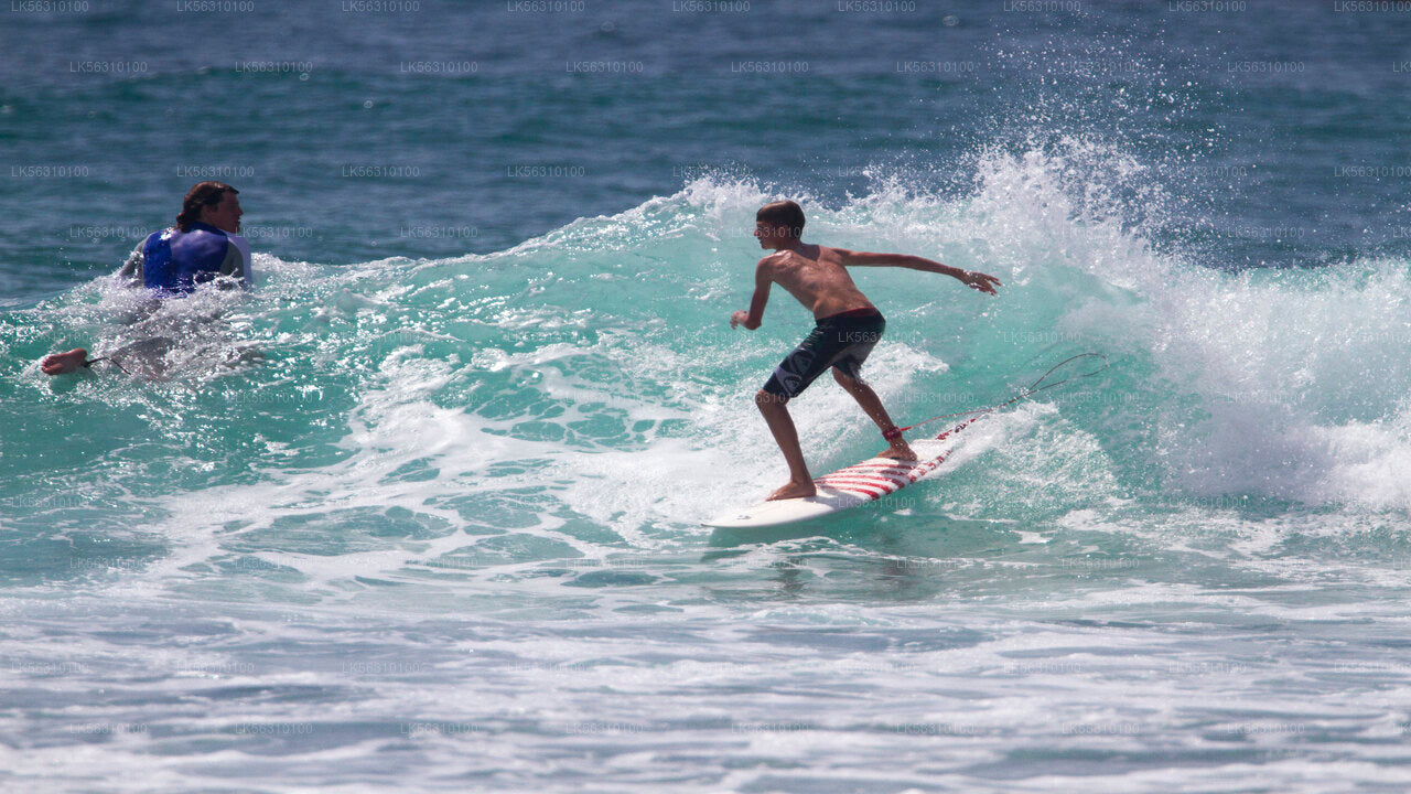 Surfing from Ahangama