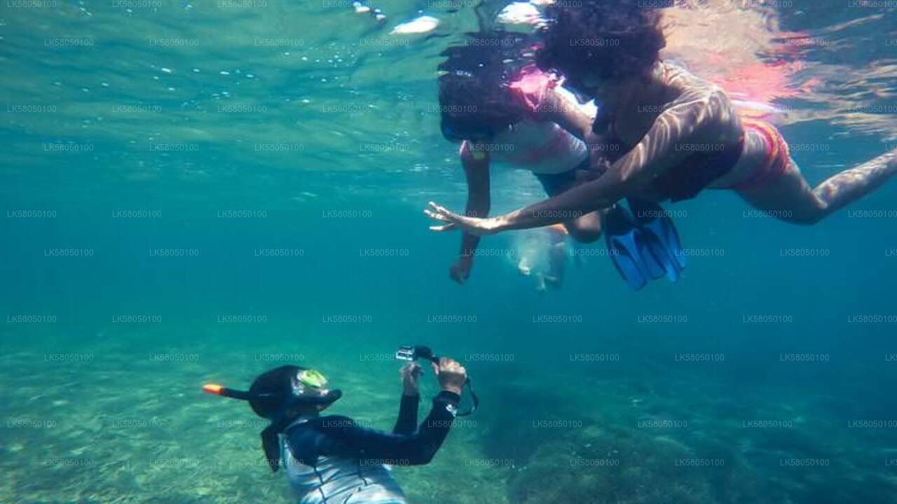Snorkelen vanuit Negombo