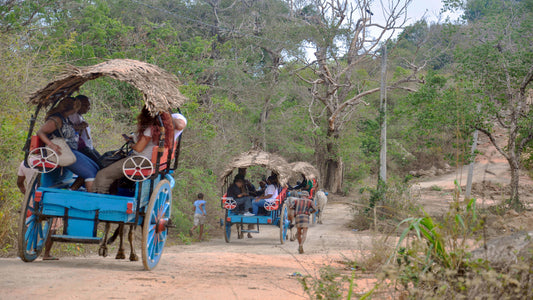 Dagtrip naar het dorpsleven vanuit Kandy