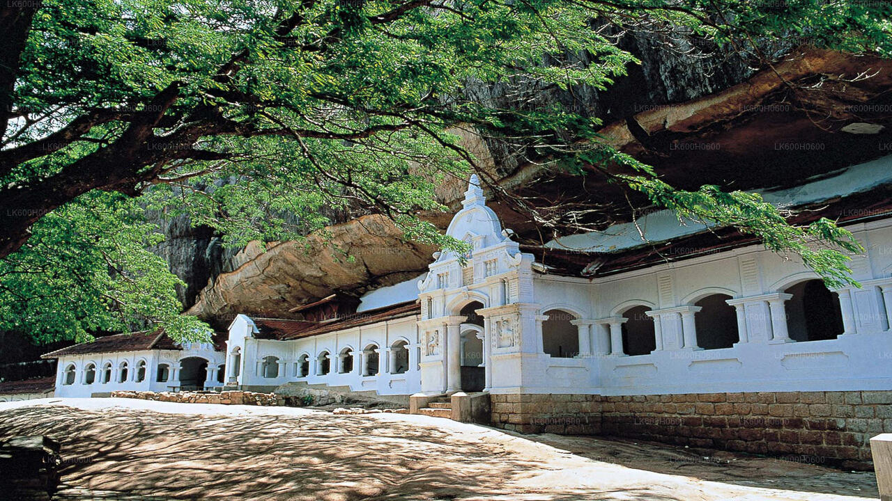 Sigiriya en Dambulla uit Colombo