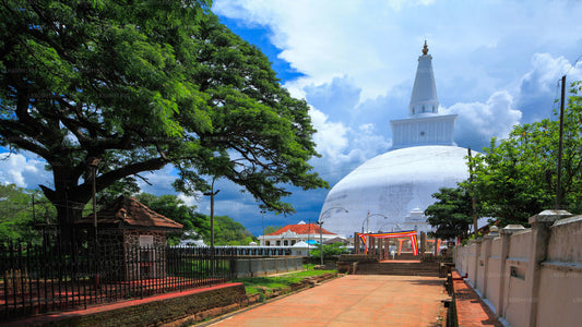 Heilige stad Anuradhapura uit Colombo