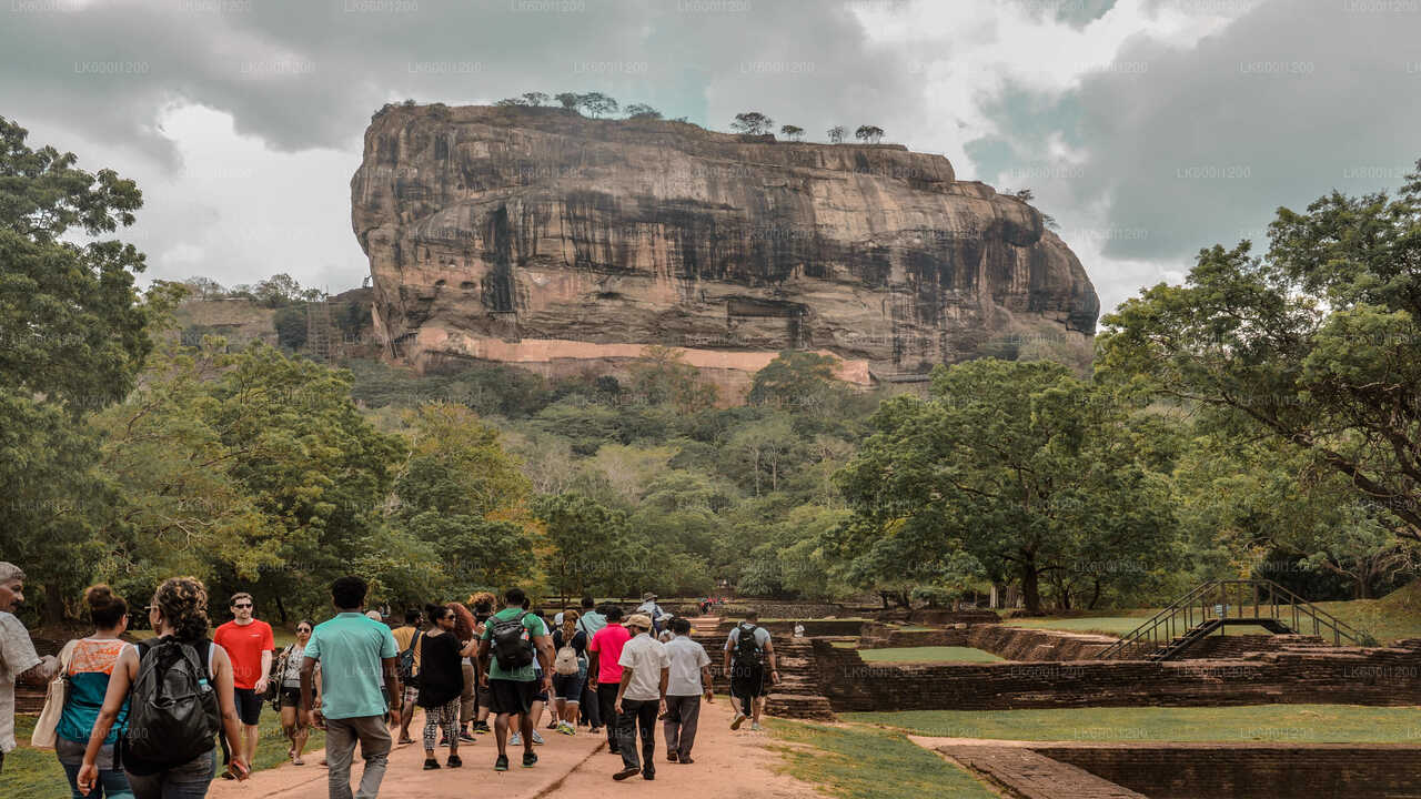 Sigiriya-rots- en wilde olifantensafari vanuit Dambulla