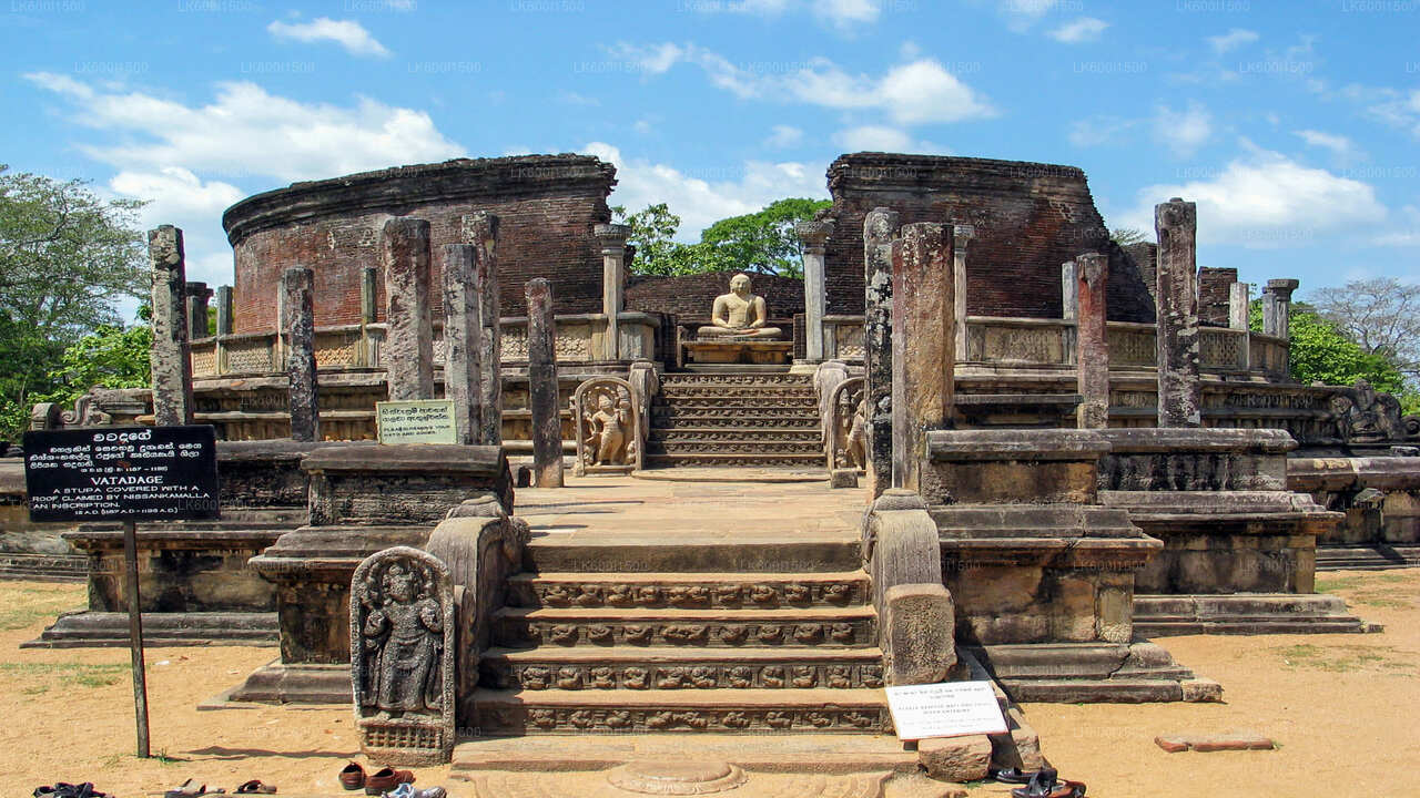 Safari naar het oude koninkrijk van Polonnaruwa en wilde olifanten vanuit Dambulla