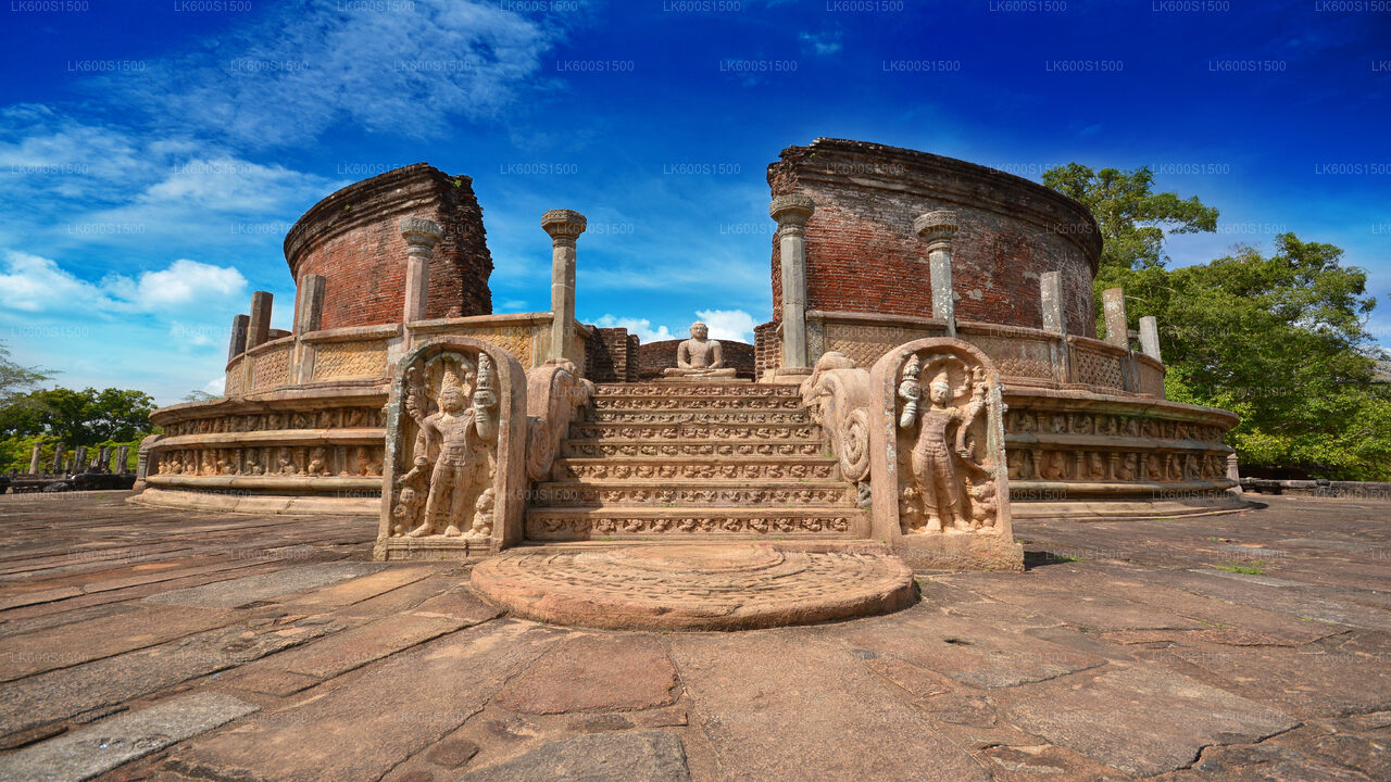 Safari naar het oude koninkrijk van Polonnaruwa en wilde olifanten vanuit Habarana