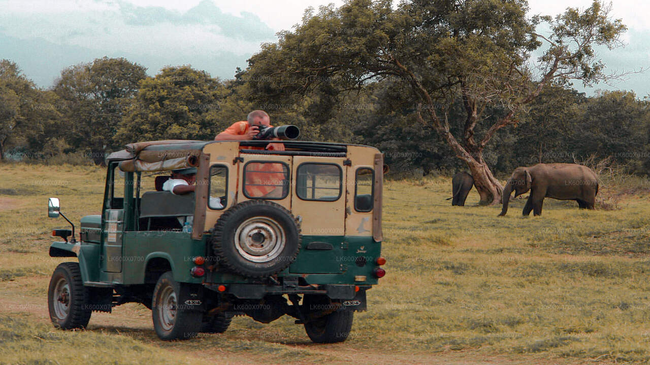 Safari in het nationale park Udawalawe vanuit Hikkaduwa