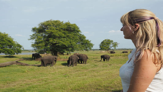 Sigiriya Rock- en wilde olifantensafari vanuit Kandy