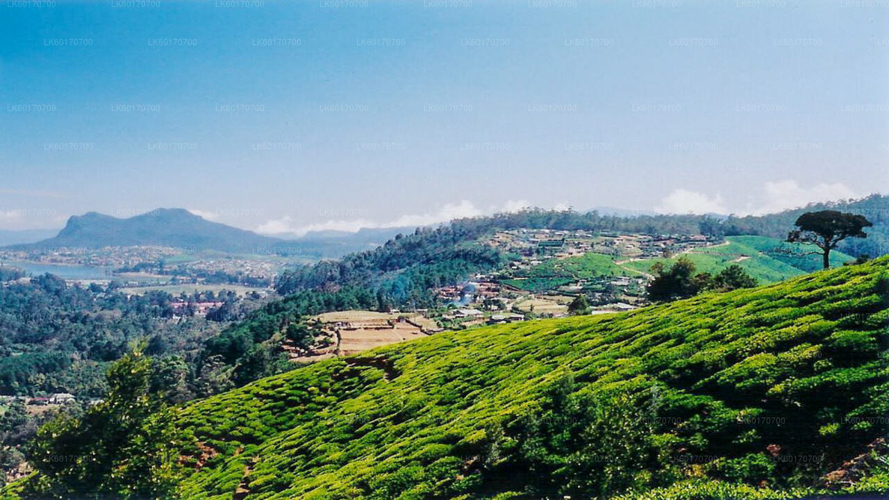 Central Highlands Peak Point vanuit Kandy