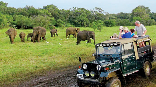 Safari in het nationale park Bundala vanuit Koggala