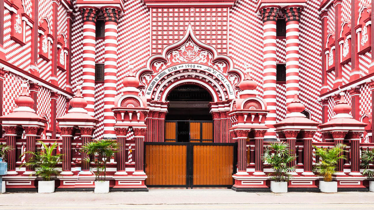 Stadstour door Colombo vanuit Negombo