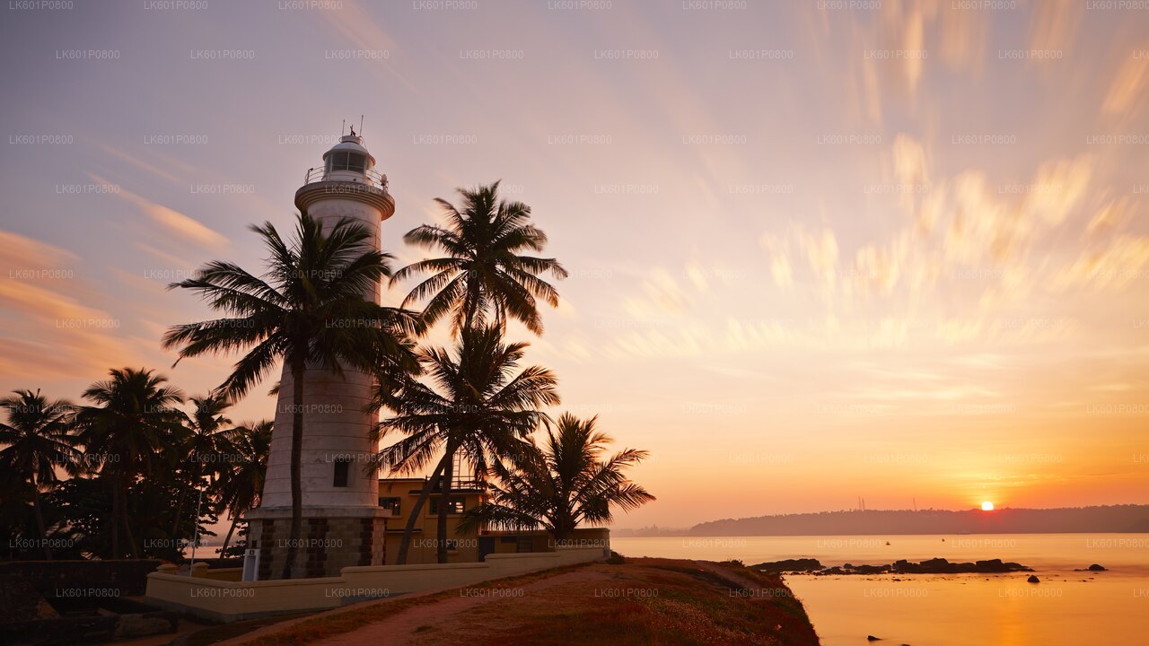 Hoogtepunten van de zuidkust vanuit Negombo