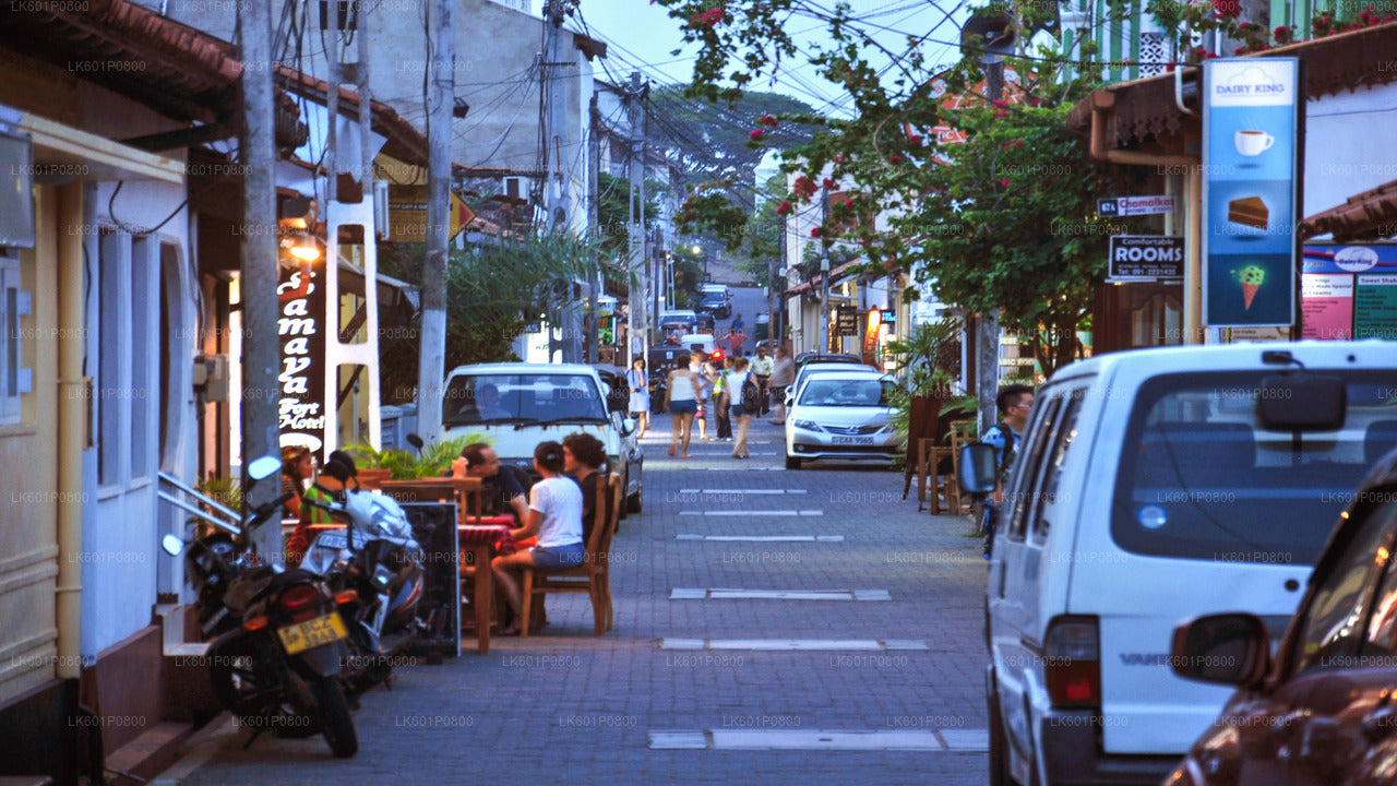 Hoogtepunten van de zuidkust vanuit Negombo