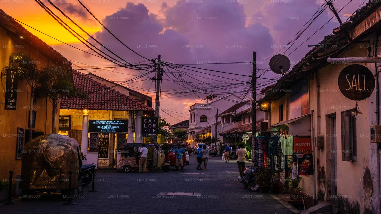 Hoogtepunten van de zuidkust vanuit Negombo