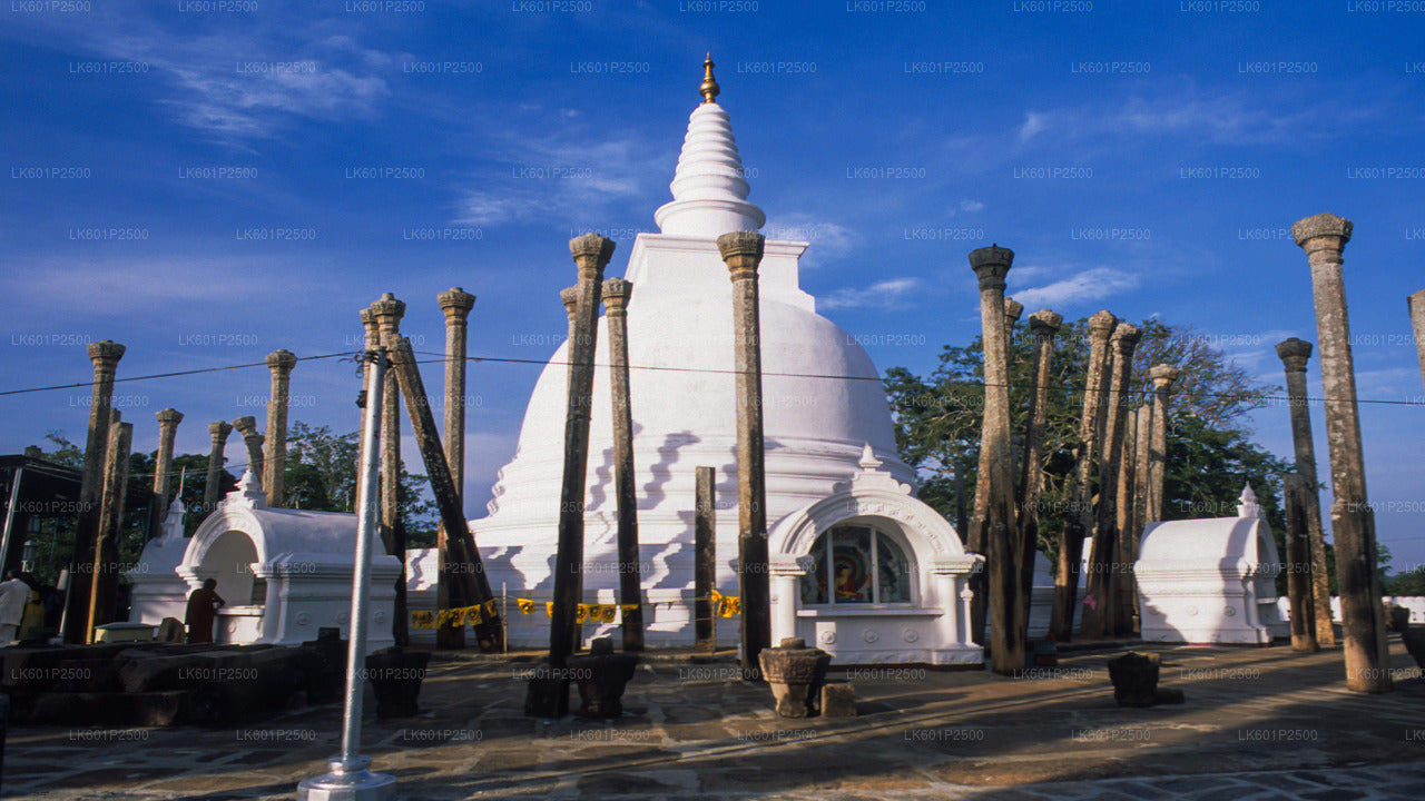 Sacred City of Anuradhapura from Negombo