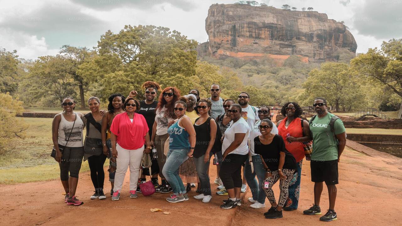 Sigiriya Rock- en wilde olifantensafari vanuit Negombo