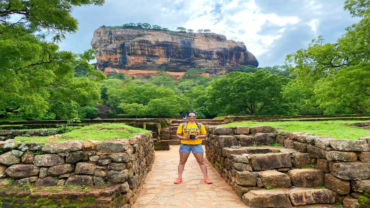 Sigiriya Rock- en wilde olifantensafari vanuit Negombo