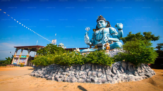 Trincomalee-stadstour vanuit Sigiriya
