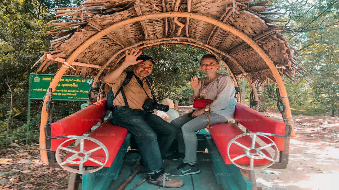 Rondleiding en lunch door het dorp Sigiriya