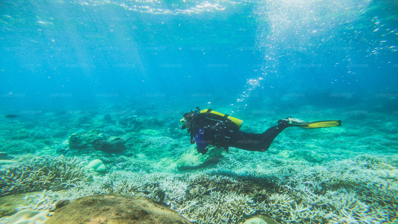 Scuba Diving from Trincomalee