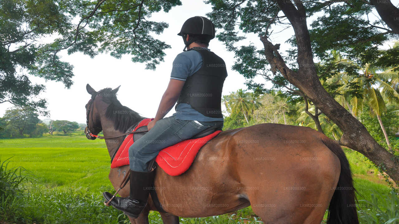 Horse Ride around a Village from Sigiriya