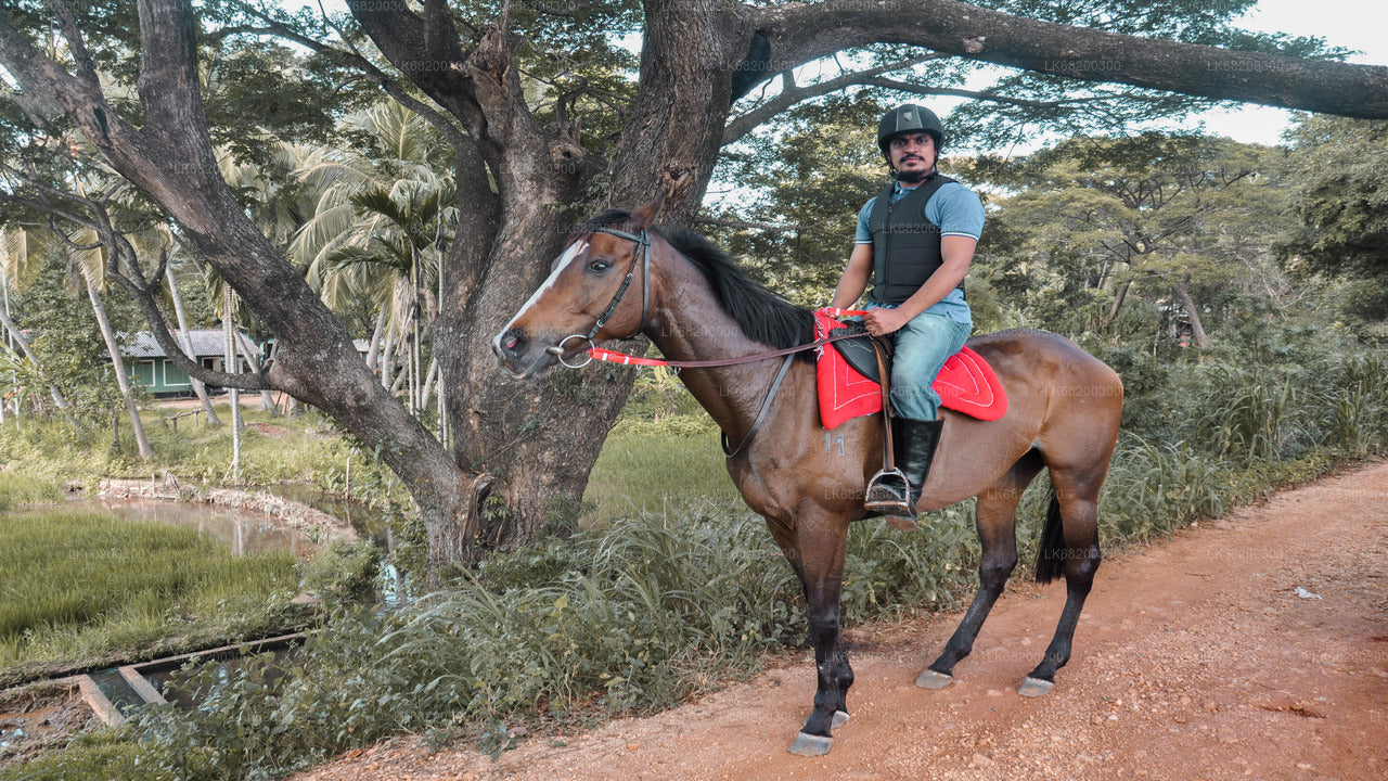 Horse Ride around a Village from Sigiriya