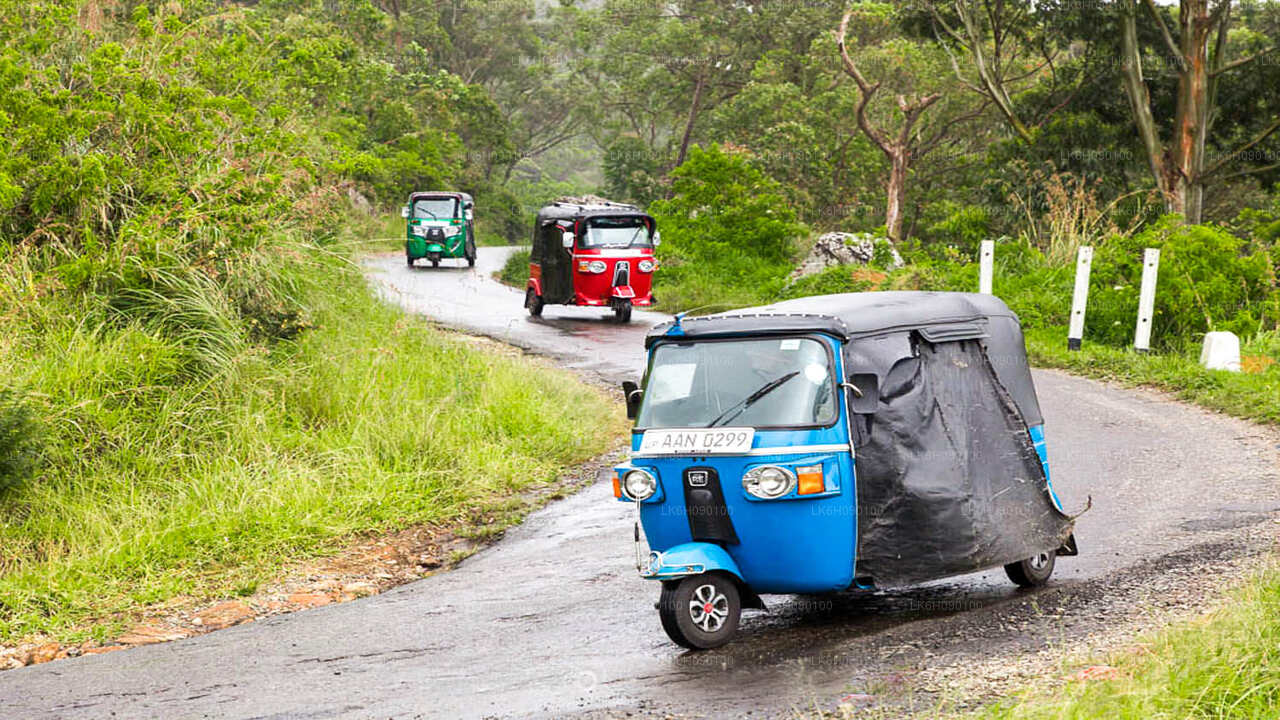 Tuk Tuk Adventure van Ella