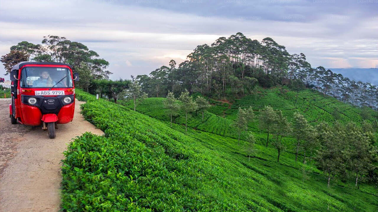 Nuwara Eliya Tuk Tuk Adventure