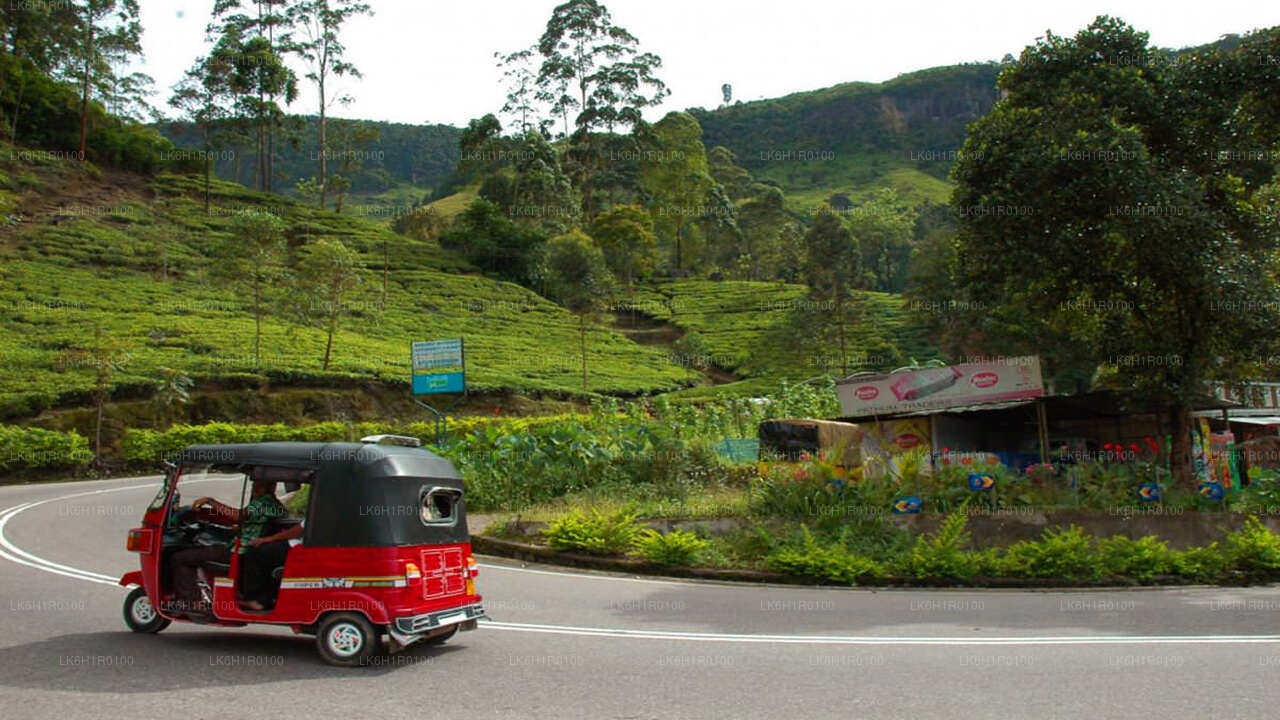 Nuwara Eliya Tuk Tuk Adventure