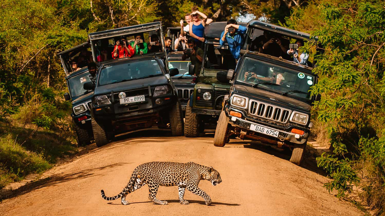 Entreeticket voor het Yala National Park