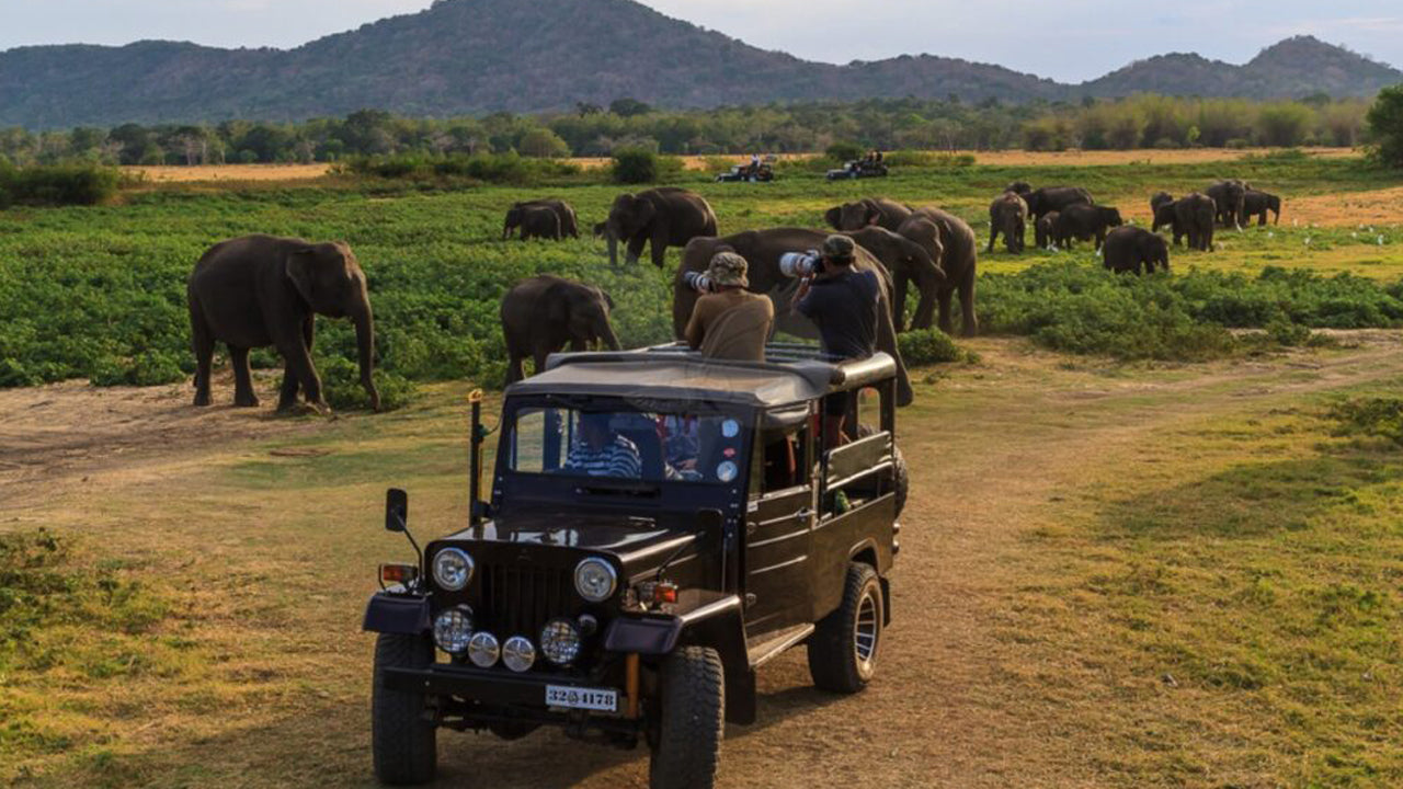 Entreeticket voor het Yala National Park