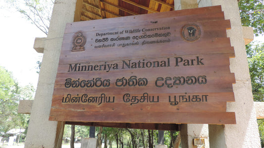 Entreeticket voor het Minneriya National Park
