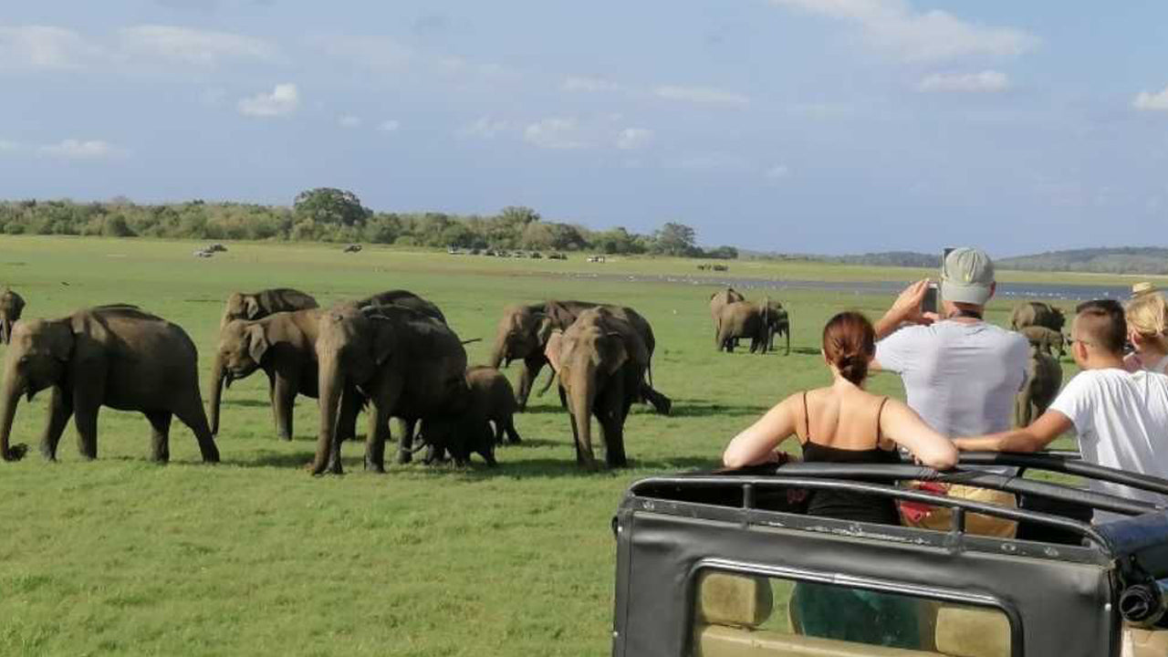 Entreeticket voor het Minneriya National Park