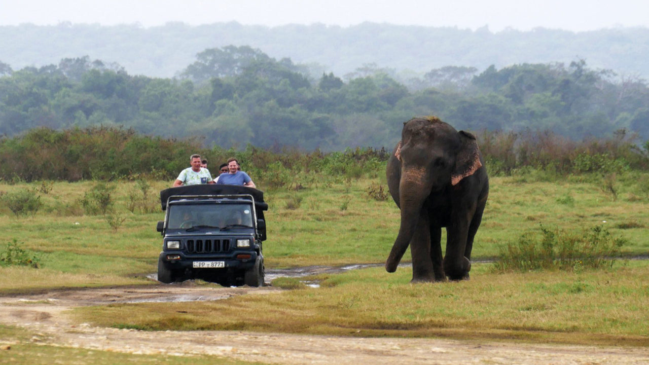 Entreetickets voor het Kaudulla National Park