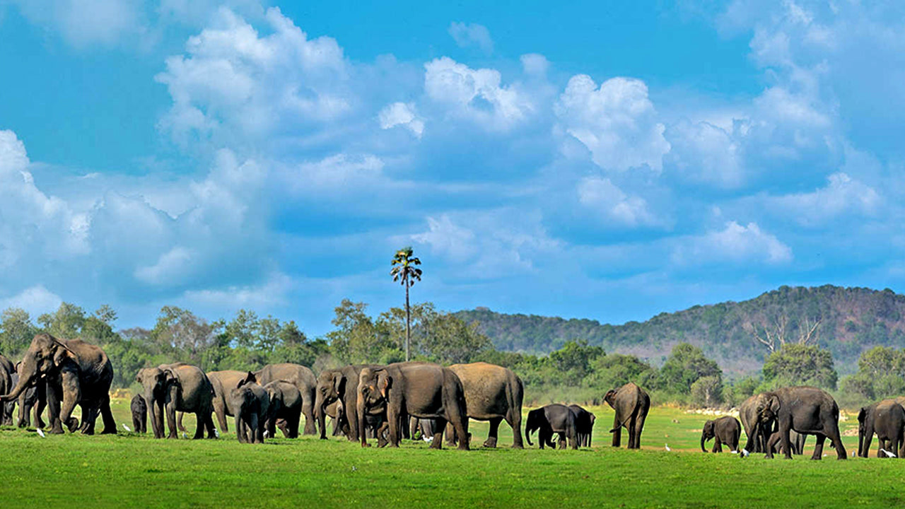 Toegangskaarten voor Kala Wawe National Park