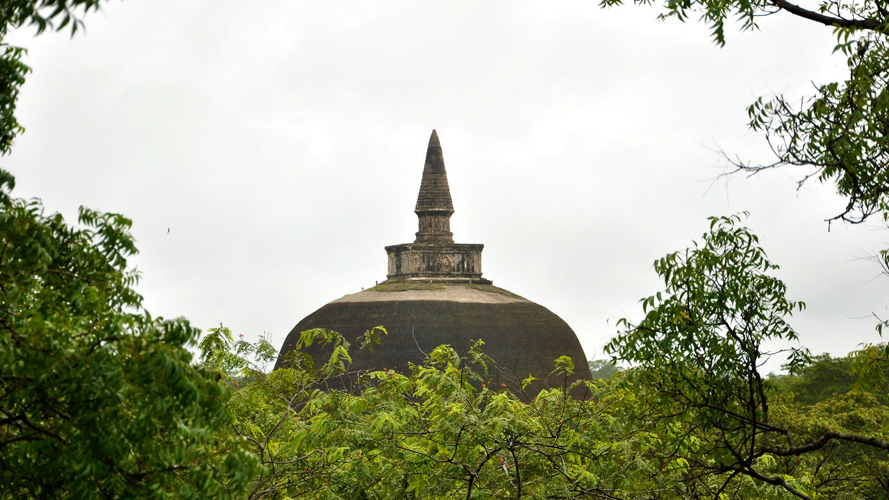 Entreekaartjes voor de oude stad Polonnaruwa